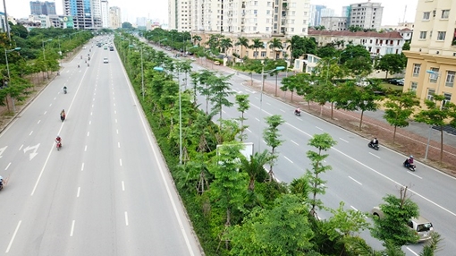 Hà Nội trồng 15 nghìn cây xanh nhân dịp Xuân Kỷ Hợi 2019